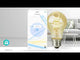 Lâmpada LED Colorida RGBW |Wi-Fi | E27 | 806 lm | 9 W